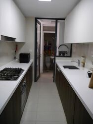 Riversound Residence (D19), Condominium #483786151